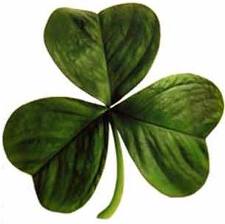clover clover
