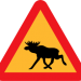moose sign