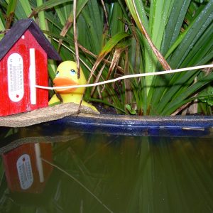 “Ernst” – Swedish Barometer (Weather Stick)